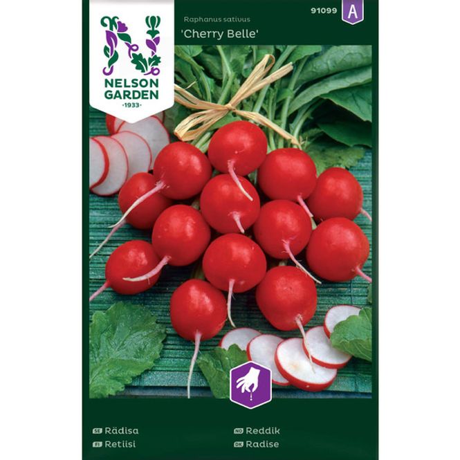 Hovedbilde Reddik 'Cherry Belle'
