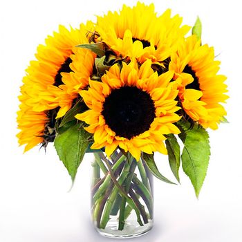 Hovedbilde Blomsterfrø