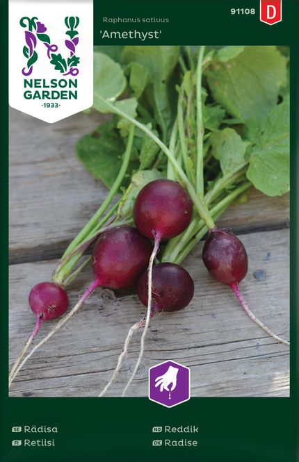 Hovedbilde Reddik 'Amethyst'
