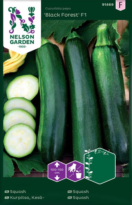 Hovedbilde Squash, 'Black Forest' F1