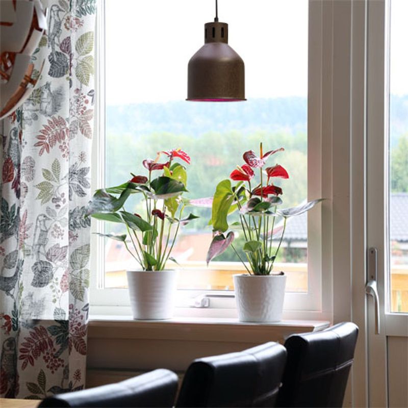 Saga armatur 'hvit' med LED-pære 24 W