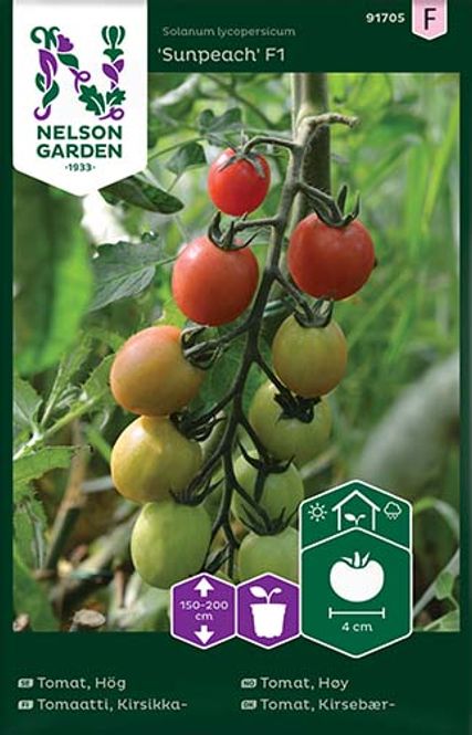 Hovedbilde Tomat, Høy 'Sunpeach' F1