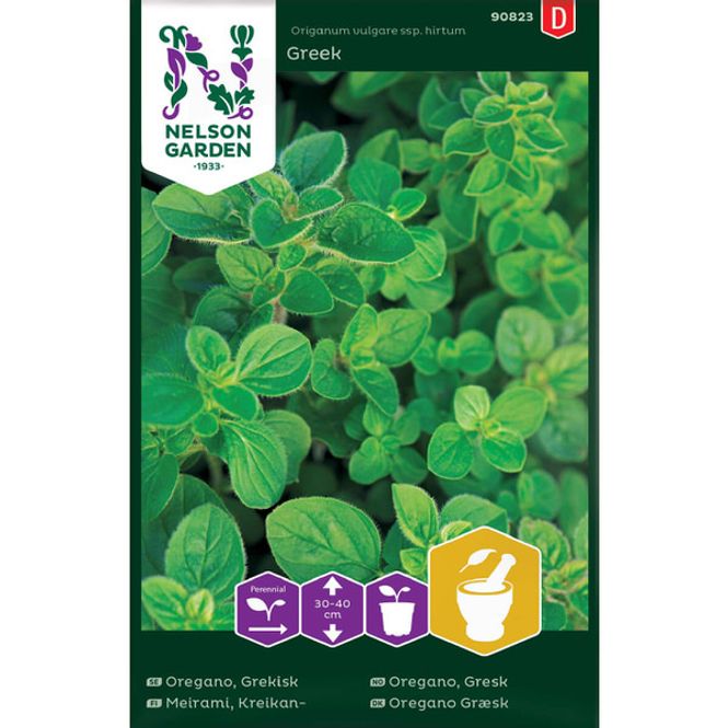 Hovedbilde Oregano, Gresk