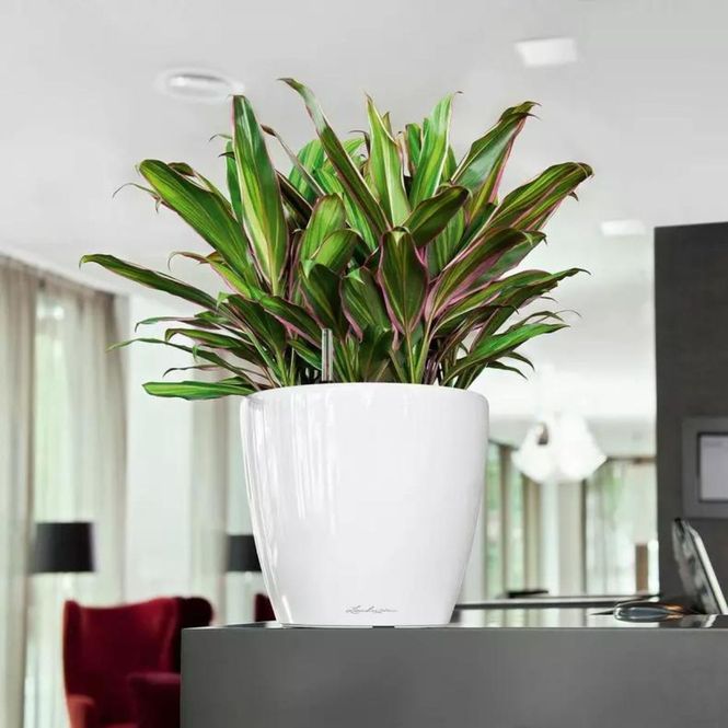 Hovedbilde Classico 28 LS, Lechuza Blomsterpotte