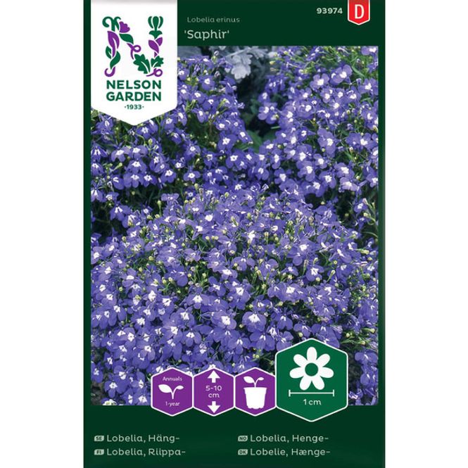 Hovedbilde Lobelia, Henge- 'Saphir'