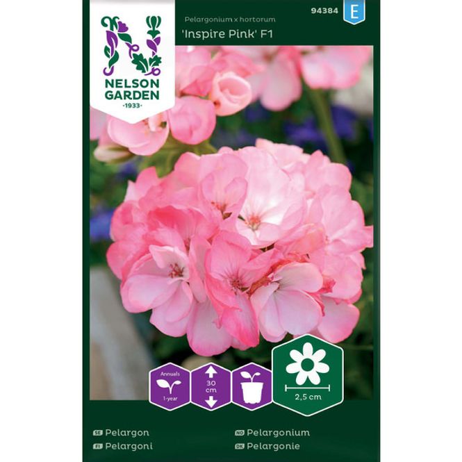 Hovedbilde Pelargonium 'Inspire Pink'