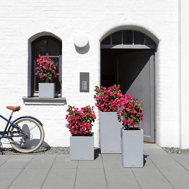 Hovedbilde Canto Stone 40 Low, Lechuza Blomsterpotte