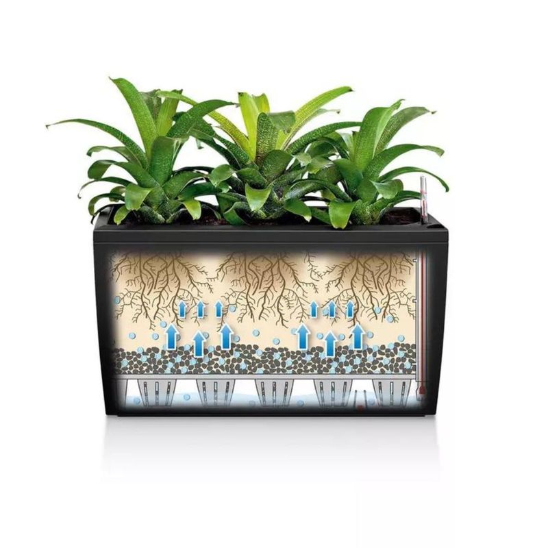 Cararo Premium, Lechuza Blomsterkasse