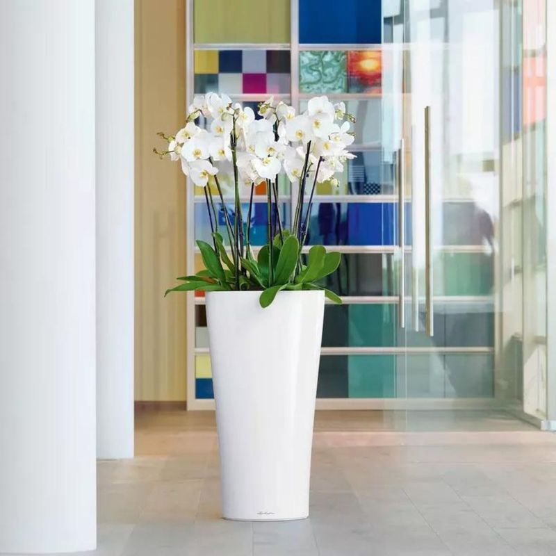 Delta Premium 30, Lechuza Blomsterpotte