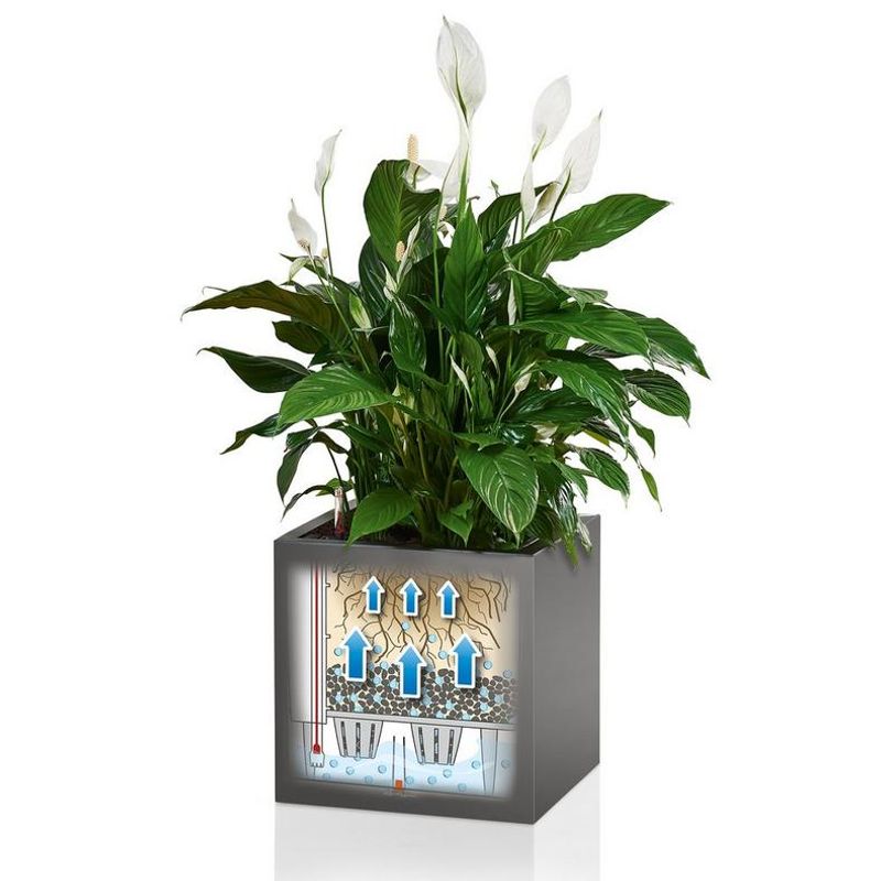 Canto Premium 40, Lechuza Blomsterpotte