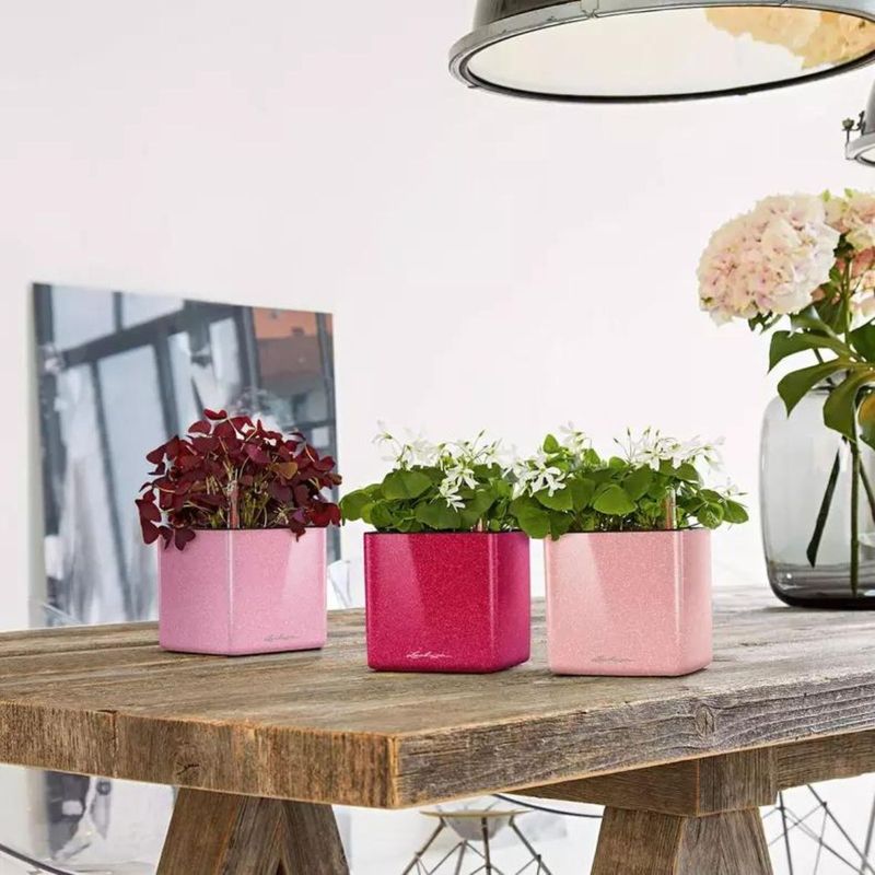 Cube Glossy 14, Lechuza Selvvanningspotte
