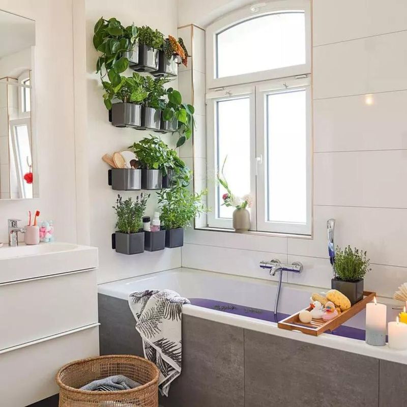 Green Wall Home Kit, Lechuza Blomsterpotter