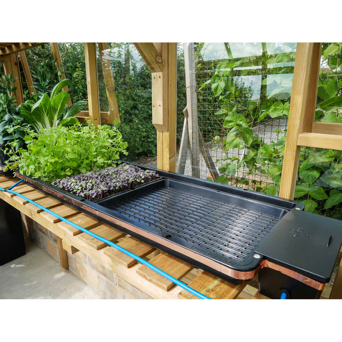 AutoPot Tray2Grow kit